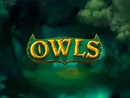 นกฮูก DNT game icon